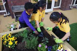 Why Growing a Garden is Great for All Children!